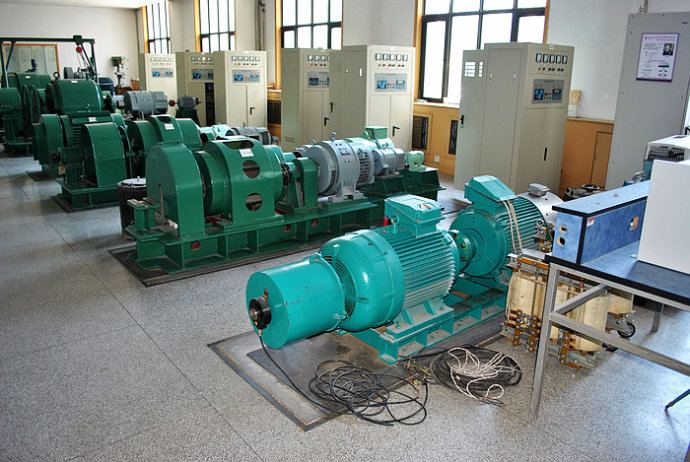 Y8008-12某热电厂使用我厂的YKK高压电机提供动力