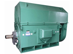 Y8008-12Y系列6KV高压电机